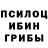 Псилоцибиновые грибы ЛСД Nikita Meilisa
