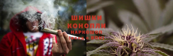 шишки Алексеевка