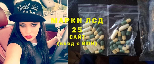 шишки Алексеевка
