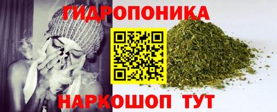крисы Рузаевка