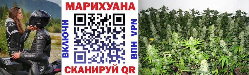 Конопля сатива Урай